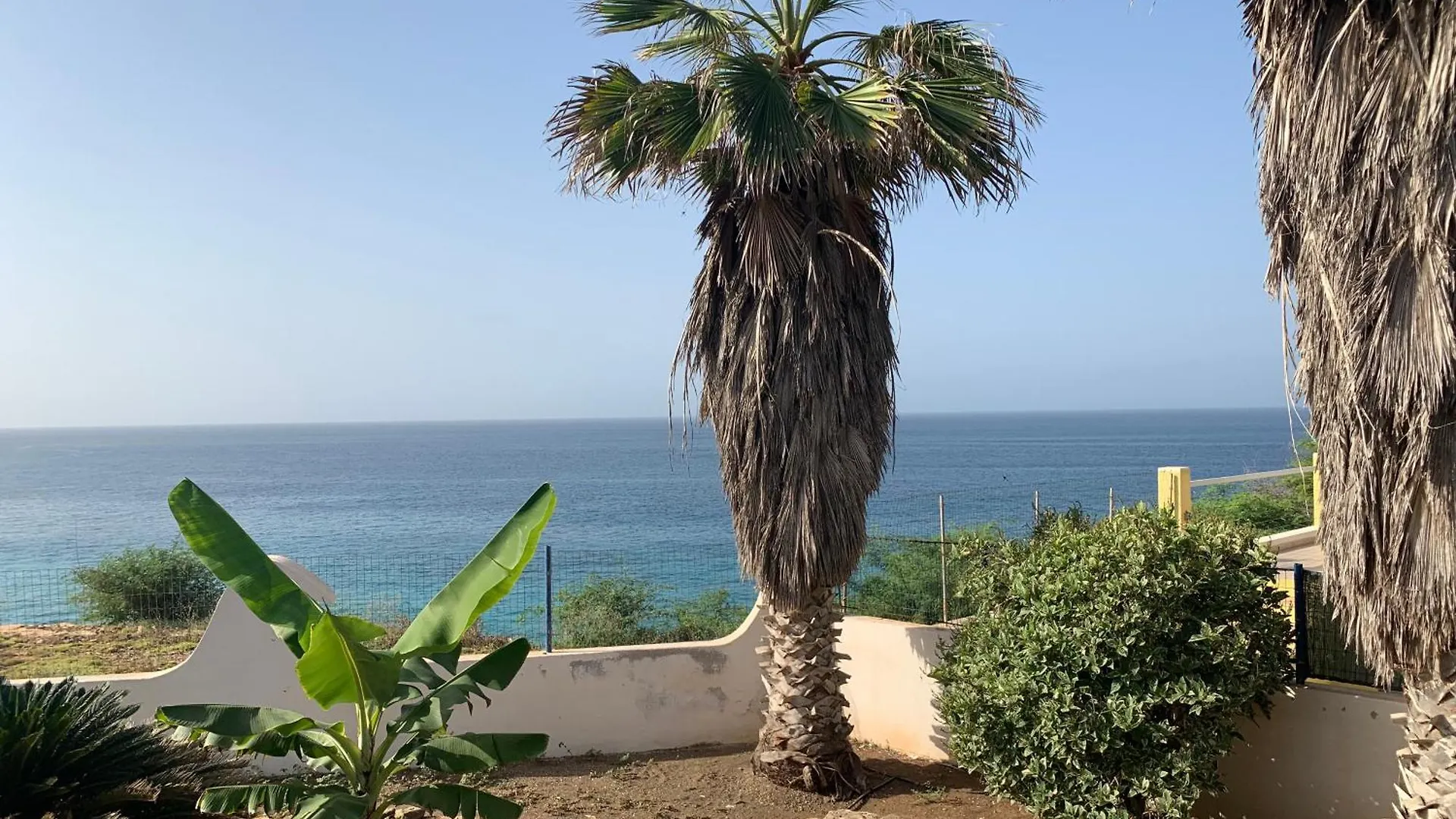 Tropikal House Facing Ocean contacts